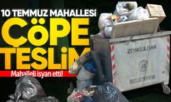 10 Temmuz Mahallesi çöpe teslim: Mahalleli isyan etti!