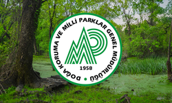 DKMP 92 sözleşmeli personel alımı yapacak