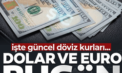Dolar/TL bugün ne kadar? (4 Temmuz 2026 dolar - Euro fiyatları)