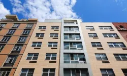 Apartmanlardaki en rahat kat belli oldu