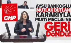 Aysu Bankoğlu mutlak butlan kararıyla Parti Meclisi'ne döndü