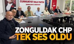 CHP Zonguldak Örgütünden Ortak İrade Mesajı