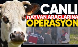 Çaycuma'da ekiplerden canlı hayvan araçlarına operasyon!