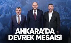 Devrek Projeleri Masada
