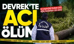 Devrek’te kahreden ölüm: Ağaç budarken düşüp hayatını kaybetti!