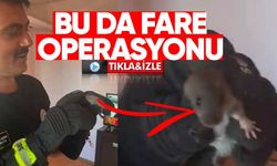Eve Giren Fareyi Eliyle Yakaladı!