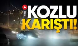 Şiddetli Rüzgar Kozlu’yu Vurdu! Görüş Mesafesi Bir Anda Düştü