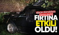 Fırtınada devrilen ağaç 3 araca hasar verdi!