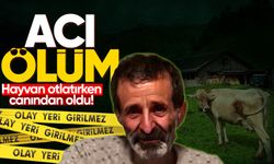 Hayvan otlatırken rahatsızlanan şahıs hayatını kaybetti