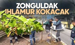 Zonguldak’ta Yeşil Dönüşüm Başladı