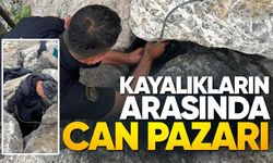 Limandan Gelen Sesler Ekipleri Harekete Geçirdi