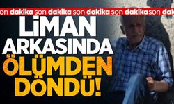 Liman Arkası’nda Korku Dolu Anlar: Kayalıklara Düştü