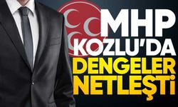 MHP’de Kongre Hareketliliği Başladı