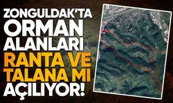 23 İlde Orman Kararı Gündemde: Zonguldak İçin Rant İddiası
