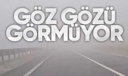 Zonguldak-Ereğli Yolunda Yoğun Sis Etkili Oldu