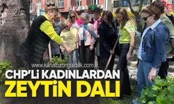 CHP MERKEZ İLÇE KADIN KOLLARI’NDAN ZEYTİN DALI
