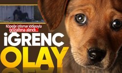 Zonguldak'ta akılalmaz olay: Köpeğe istismar iddiasıyla gözaltına alındı