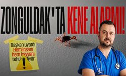 Zonguldak’ta kene alarmı: Başkan uyardı! Hem insanı hem hayvanı tehdit ediyor