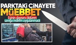 Zonguldak'ta parktaki cinayete müebbet: Eşinin dayısını öld*ren sanığa indirim uygulanmadı
