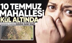 10 Temmuz Mahallesi kül altında: Vatandaşın isyanına belediye kulak tıkadı!