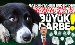 Başkan Erdem 17 yıldır hizmet veren Veteriner Sağlık Merkezi'ni kapatacak!