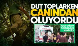 Dut toplarken ağaçtan düşüp yaralandı