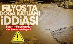 Filyos'ta doğa katliamı iddiası: Beton mikseri atıkları denize mi akıtılıyor?