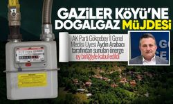Gaziler Köyü’nde doğalgaz yatırımı meclisten oy birliğiyle geçti