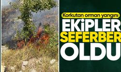 Korkutan orman yangını: Ekipler seferber oldu!