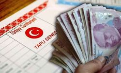 Miras paylaşımında sistem değişti: Eskisi gibi satış yapılmayacak