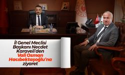 Necdet Karaveli’den Vali Osman Hacıbektaşoğlu’na ziyaret