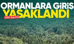 Valilik duyurdu: Ormanlara giriş 5 ay yasaklandı!