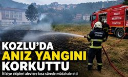 Kozlu’da anız yangını: Ekipler müdahale etti