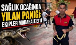 Alaplı’da sağlık ocağına giren yılan panik yarattı