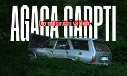 Yoldan çıkarak ağaca çarpan otomobilin sürücüsü yaralandı