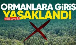 Zonguldak’ta ormanlara girişler o tarihe kadar yasaklandı