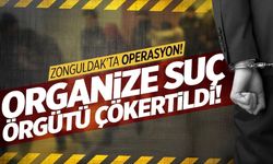 Zonguldak'ta suç örgütlerine operasyon! 313 şüpheli yakalandı