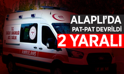 Alaplı'da pat-pat devrildi:2 yaralı