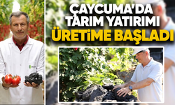 Çaycuma'da tarım yatırımı üretime başladı