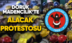 Doruk Madencilik'te alacak protestosu