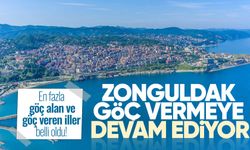 En fazla göç alan ve göç veren iller belli oldu: Zonguldak göç vermeye devam ediyor