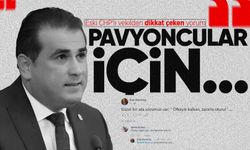 Eski CHP'li vekilden dikkat çeken yorum: "Pavyoncular için..."