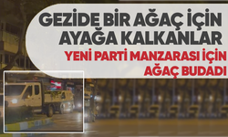 Gezide bir ağaç için ayağa kalkanlar yeni parti manzarası için ağaç budadı