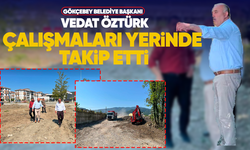 Gökçebey Belediye Başkanı Vedat Öztürk çalışmaları yerinde takip etti