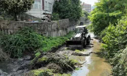 Kabasakal deresi pırıl pırıl oluyor!