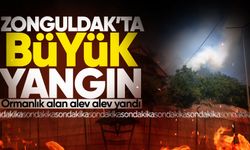 Zonguldak'ta büyük yangın: Ormanlık alan alev alev yandı