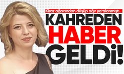 Kiraz ağacından düşen Aliye Yankın hayatını kaybetti