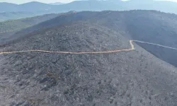 Muğla'dan kahreden görüntüler!