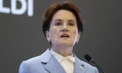 Sahalara geri dönüyor... Meral Akşener Vakfı kuruldu!
