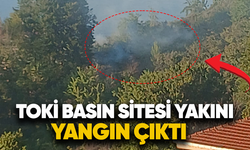 Toki Basın sitesi yakını yangın çıktı